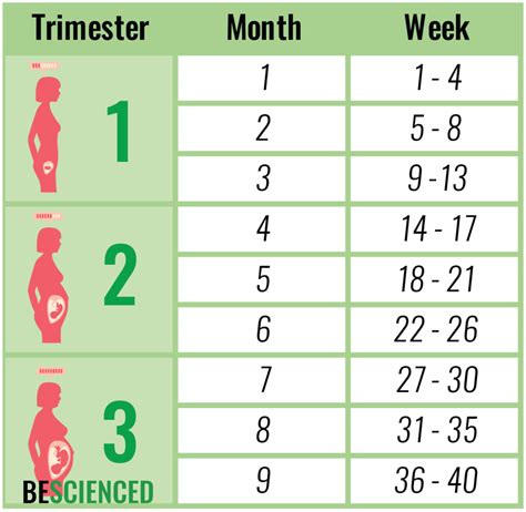 .there are actually quite a few other apps that are out there. How to calculate pregnancy in weeks, months and trimesters ...