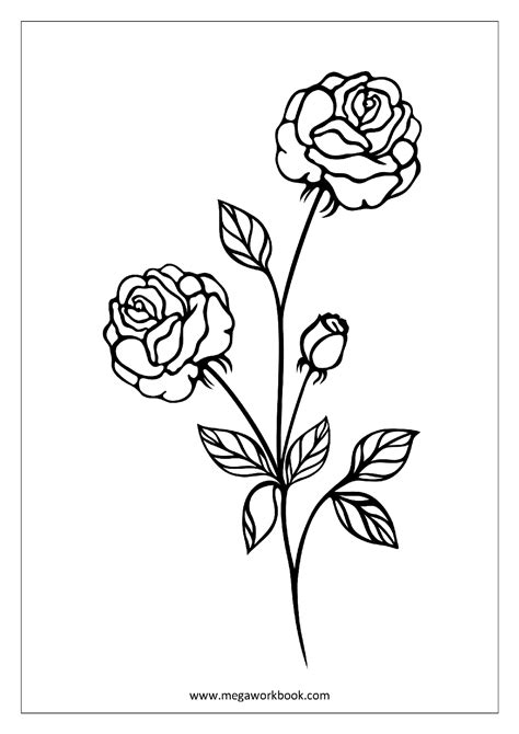 Flower Coloring Pages Plant Tree Coloring Pages Leaf Coloring