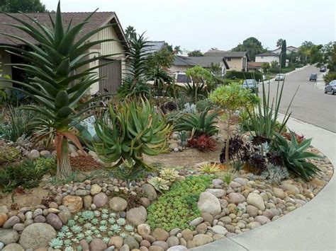 Brilliant 30 Gorgeous Front Yard Landscaping With Cactus Plant Ideas