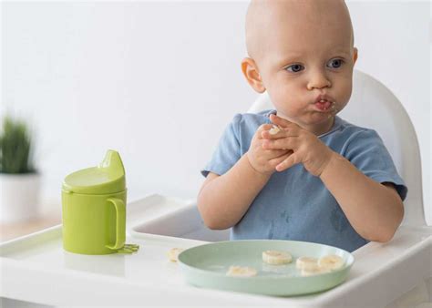 Baby Led Weaning O Blw Para Beb S Gu A Completa Receitas Todo Dia