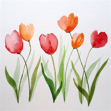 Acuarela Disfrutando Con Mis Primeros Tulipanes Watercolor Acuarela