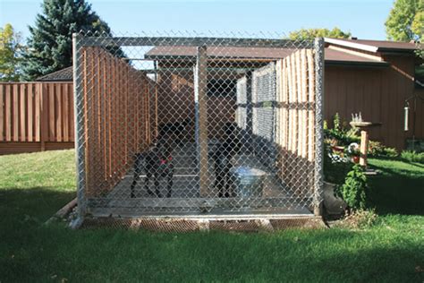 How To Build The Perfect Dog Kennel South Louisiana Vizsla Club