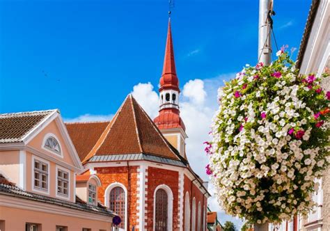 Tallinn To Riga Guided Tour With A Private Transfer Nordic Experience