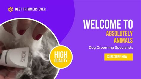 The Best Cat Grooming Clippers Ever | Absolutely Animals - YouTube