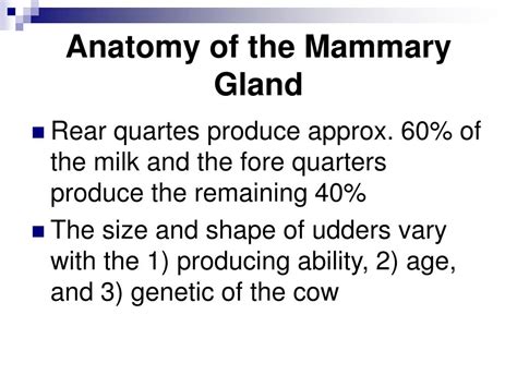 Ppt The Mammary Gland Powerpoint Presentation Free Download Id761945