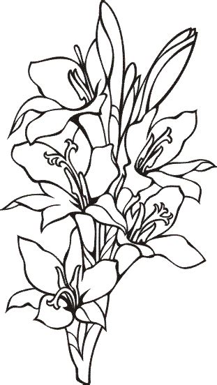 Disegni fiori da colorare e stampare destinato immagini fiori da 816 x 1123 jpg pixel. Fiori 23, Disegni per bambini da colorare