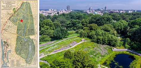 The Native Plant Garden At The New York Botanical Garden Asla 2020
