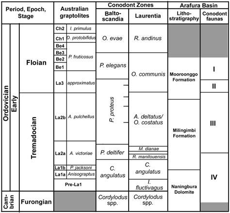 Late Cambrian To Ordovician Biostratigraphy And Correlation Of The