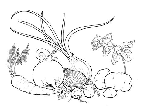 Dibujos Para Colorear De Origen Animal - Impresion gratuita