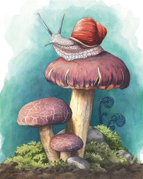 Snail And Mushroom Illustration ART PRINT 8x10 Inches Etsy Ireland