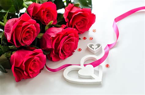 Valentine Roses Hd