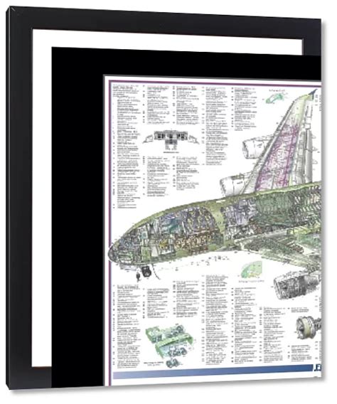 Framed Print Of Airbus A380 800 Cutaway Poster