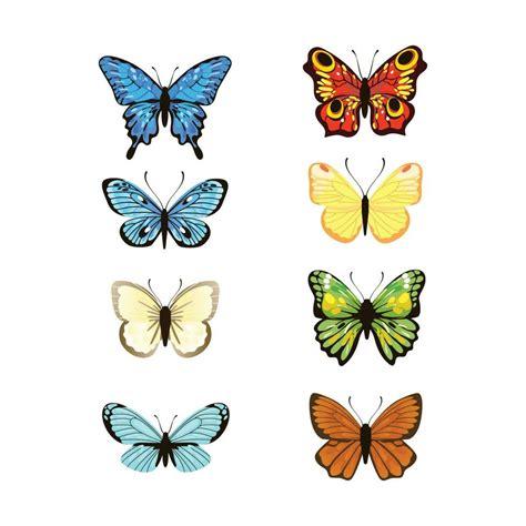 set of elegant butterflies vector 23509352 vector art at vecteezy