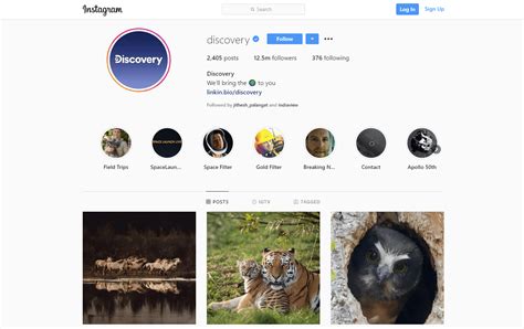 Scrape Instagram Posts and Images from Public Profiles, Hashtags, or ...