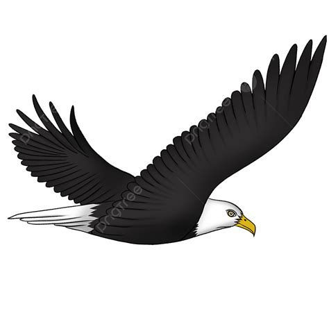 Falcons White Transparent Flying Falcon In The Blue Sky Clip Art