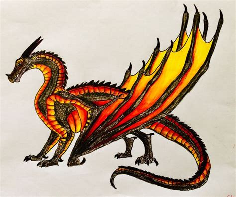 Nightwingskywing Hybrid Wings Of Fire Dragons Wings Of Fire Fire Art