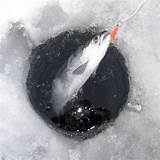 Photos of Ice Fishing Com