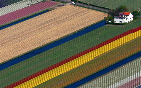 Netherlands Tulips Aerial Stunning Aerial Video Of Dutch Tulip Fields