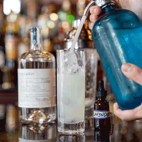 ⭞䨻⃟䨻䨻ꞌꞌ ᰻ᥴꪯᬭຮ hotarubi no mori e; WORLD GIN WEEKEND: celebrate the right way with Duke's ...