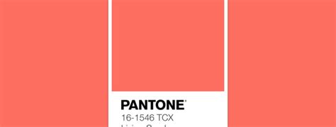 Pantone Color Of The Year 2019 Living Coral Hermosaz
