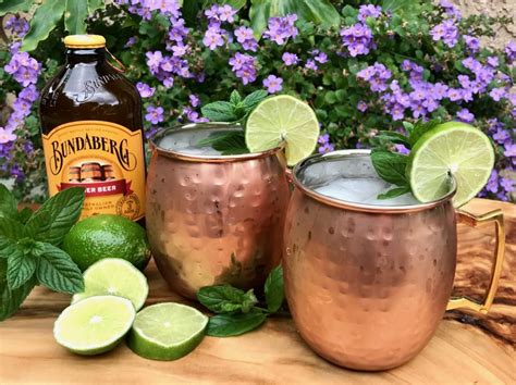Best Moscow Mule Recipes, Ginger Beer Recipe in Summer 2020