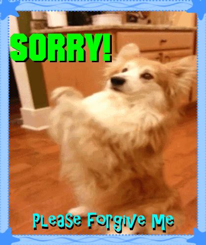 Sorry Please Forgive Me Ecard Free Sorry Ecards Greeting Cards 123
