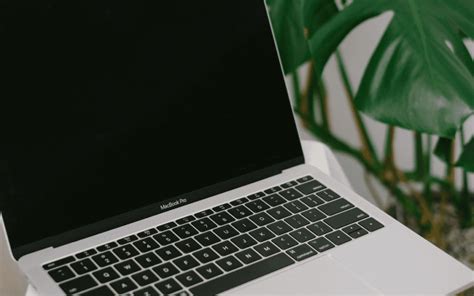 How to Make a Transparent Background in Canva • Houndstooth Media Group