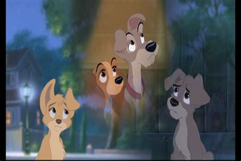 Lady And The Tramp 2 Screencaps Lady And The Tramp Ii Image 15595461 Fanpop