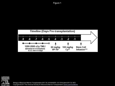 Phase I Trial Of Total Marrow And Lymphoid Irradiation Transplantation