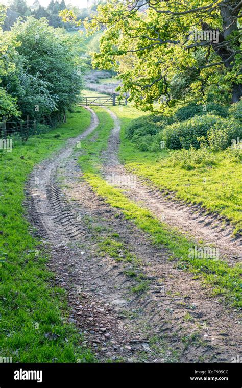 A Cart Track And Rutted Muddy Path On A Farm In Yorkshire Uk Stock