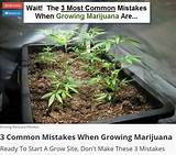 How To Grow Marijuana Plant At Home