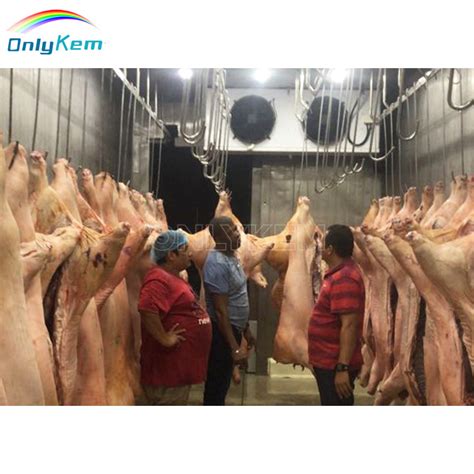 Design Freezer Cold Storage Room For Frozen Beef Meat Chicken China