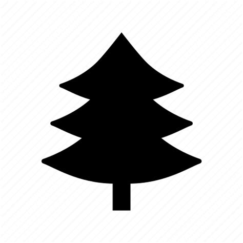 Evergreen Tree Fir Tree Pinetree Tree True Pine Icon