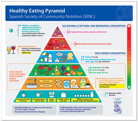 Comprehensive Definition Of Nutrition In Health And Physical Activities