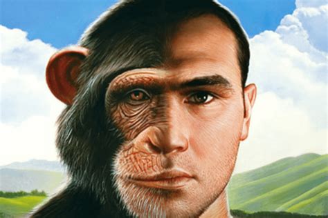 Evolution Of Human From Apes History To Know