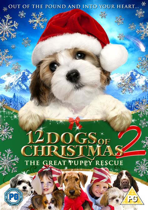 12 Dogs Of Christmas 2 Great Puppy Race Dvd Zavvi
