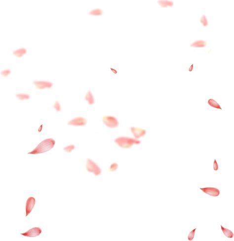 Download Petal Pink Gratis Transprent Falling Petals Png Transparent Transparent PNG