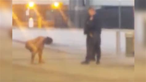 Bizarre Footage Shows Cops Tackling Naked Kung Fu Fighting Woman