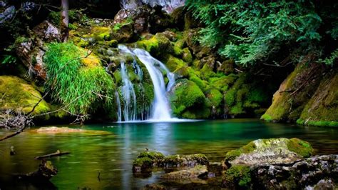 Water Download Nature Wallpaper Green Water Beauty Waterfall
