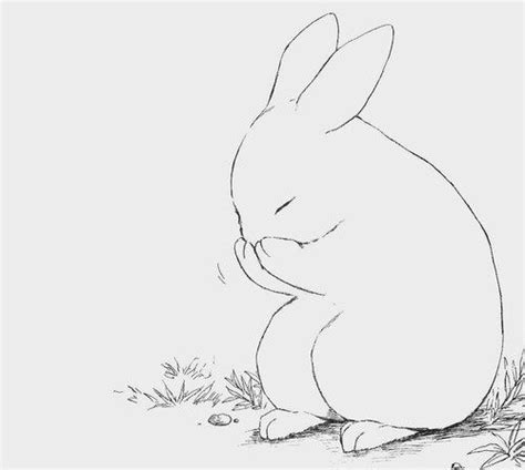 Pin By Pohnthipa Pasiri On Anime Bunny Drawing Bunny Art Cute Drawings