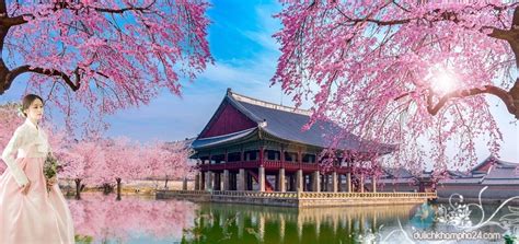 Kinh Nghiệm Du Lịch Hàn Quốc Tự Túc Với Những địa điểm đẹp Lung Linh
