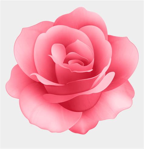Rose Flower Image Download Mq Black Roses Rose Flower Flowers