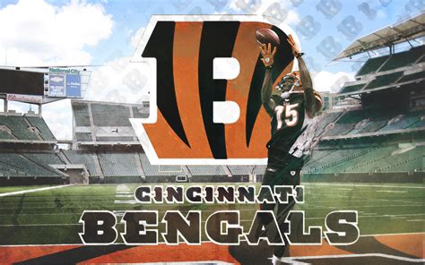 Hd Cincinnati Bengals Wallpapers Pixelstalknet