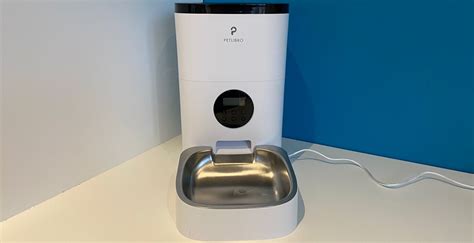 Best Automatic Cat Feeders 2022 | Dry & Wet Food UK Reviews