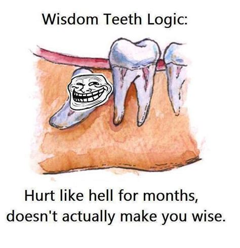 toothache meme lisboa 211