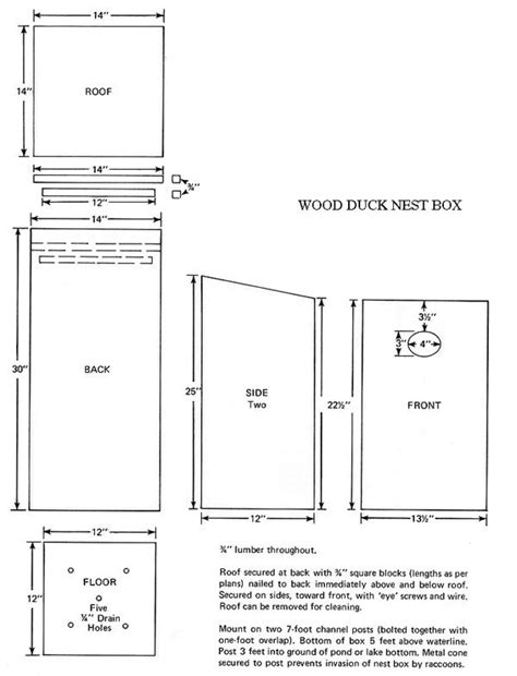 Home/new home plans/elegant wood duck bird house plans. Bird Houses for Sale - Dane County Conservation League(DCCL.org) | Wood duck house, Duck house ...