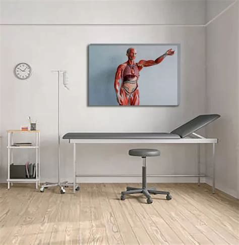 Cuadro Canvas Moderno Anatomía De Cuerpo Humano 94x142cm Mercadolibre