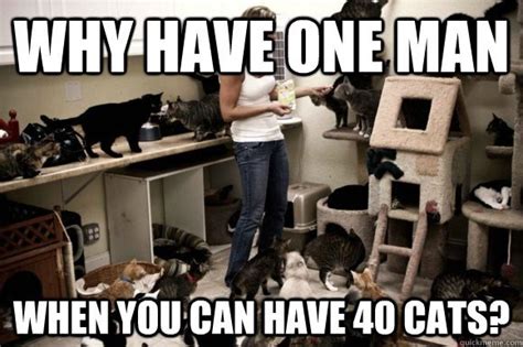 18 Hilarious Cat Lady Memes Only Cat Ladies Will Truly Understand