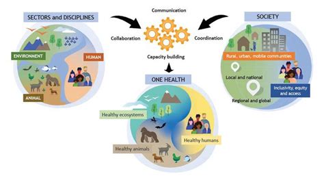 What Is One Health One Health Commission