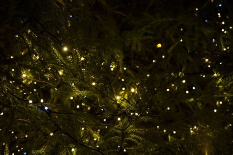 Best Christmas Lights Displays Saskatoon Glow Saskatoon Christmas